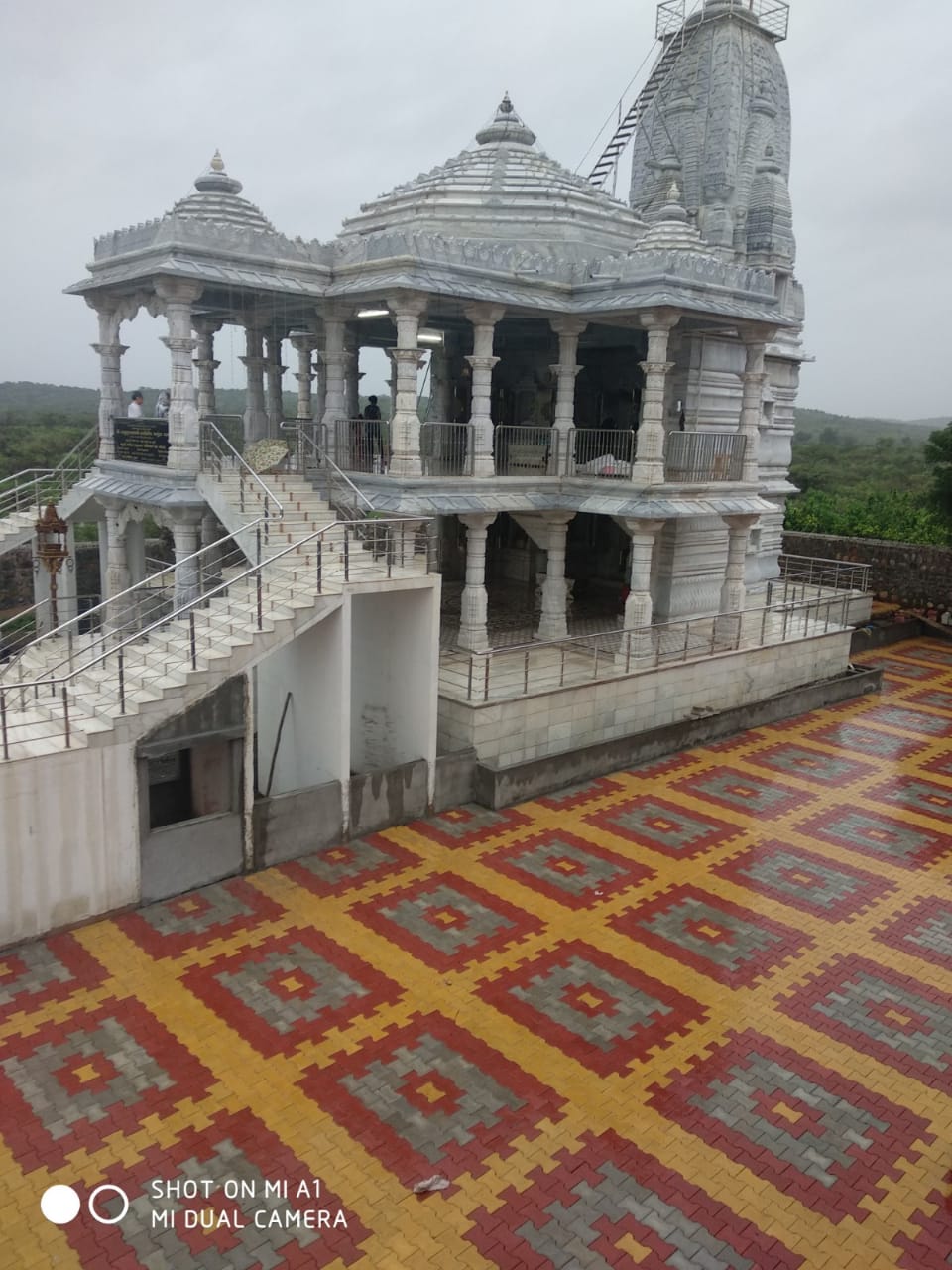 Image 4